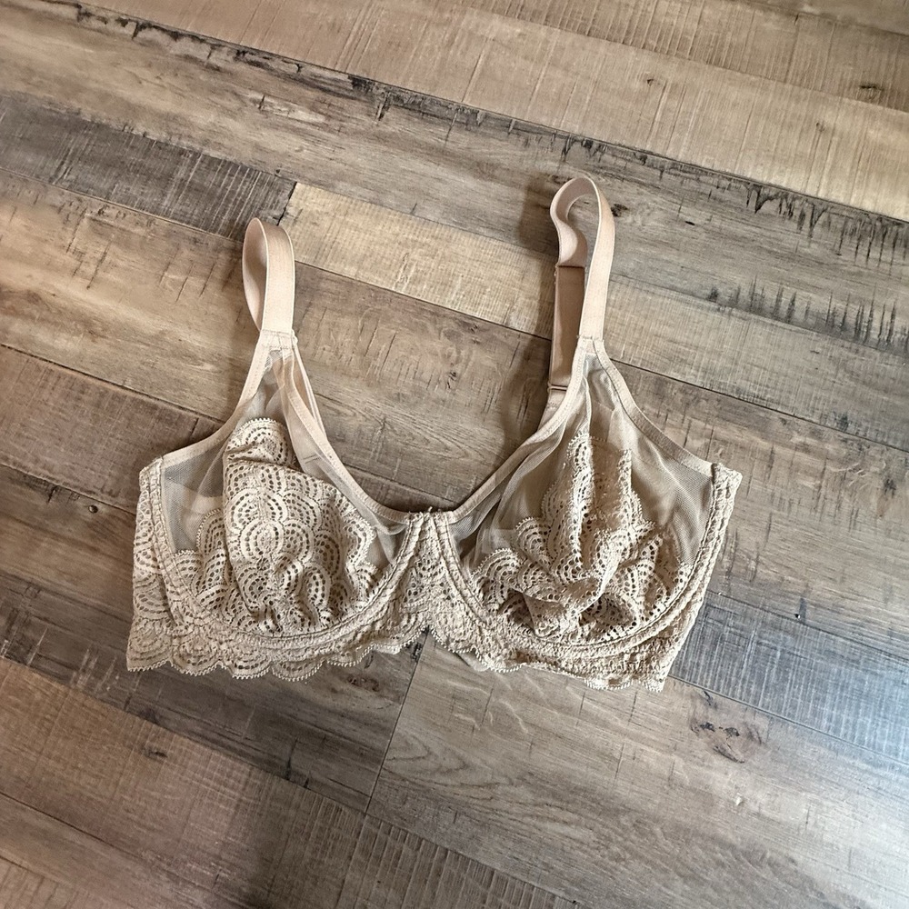 HSIA Lace & Mesh Underwire Bra 34DD Nude Beige